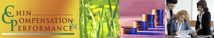 Chin Compensation & Performance